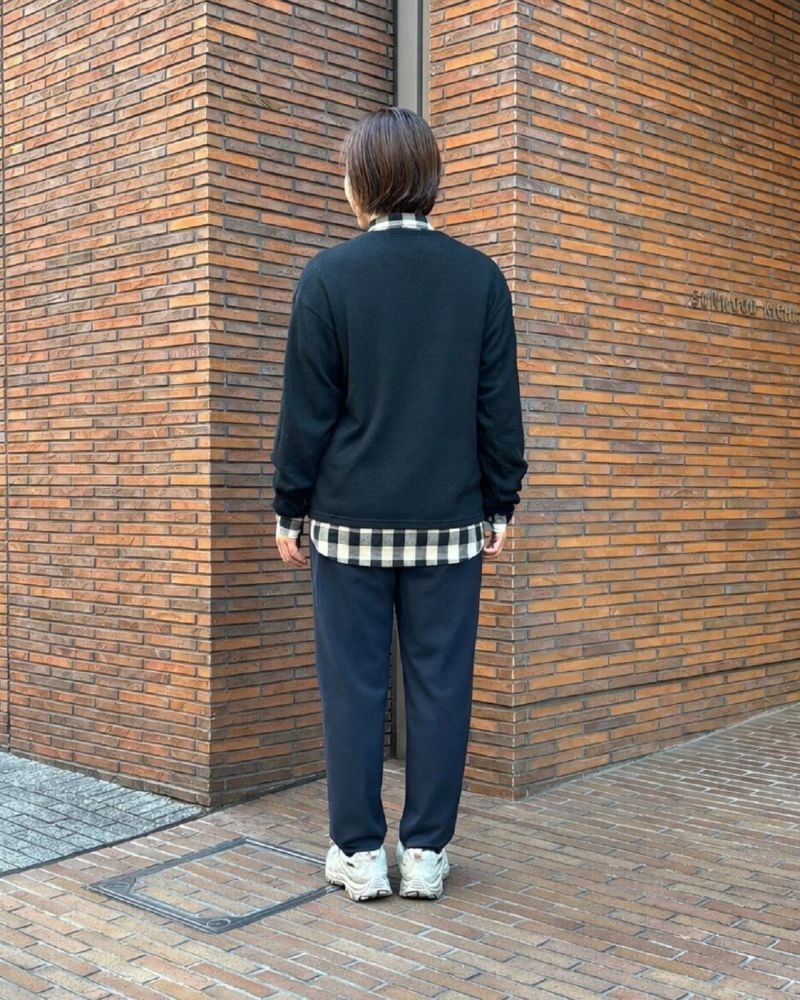 MINIMALIGHT / ORDINARY PANTS W｜ミニマライトの通販 - BLACK BRICK